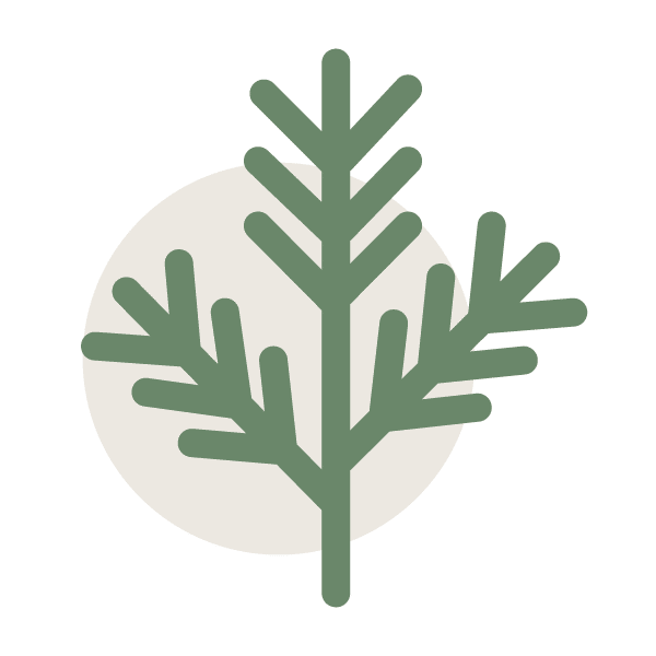 TheCedarPath-cedarclasses